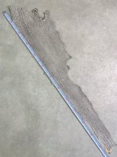 画像7: シャーク　バニラ×茶　サメ革　鮫革　シャークスキン　 (7)