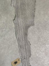 画像5: シャーク　バニラ×茶　サメ革　鮫革　シャークスキン　lot2 (5)