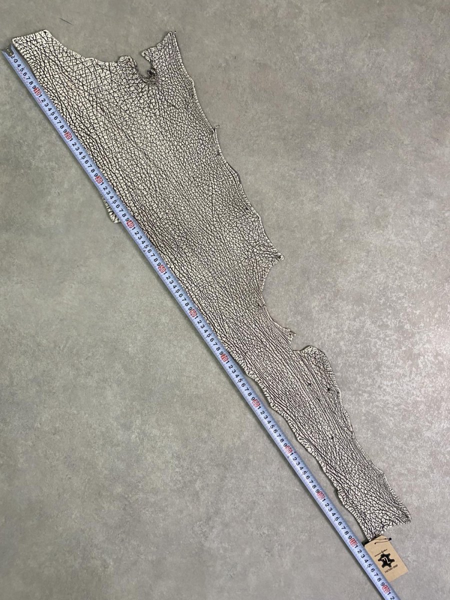 画像7: シャーク　バニラ×茶　サメ革　鮫革　シャークスキン　lot2 (7)