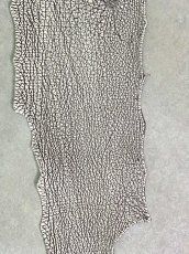 画像3: シャーク　バニラ×茶　サメ革　鮫革　シャークスキン　lot2 (3)