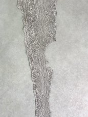 画像5: シャーク　バニラ×茶　サメ革　鮫革　シャークスキン　lot2 (5)
