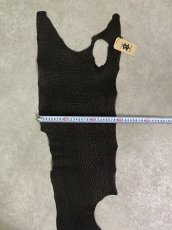 画像9: シャーク　ブラック　Aランク　鮫革　シャークスキン (9)