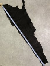 画像7: シャーク　ブラック　Aランク　鮫革　シャークスキン (7)