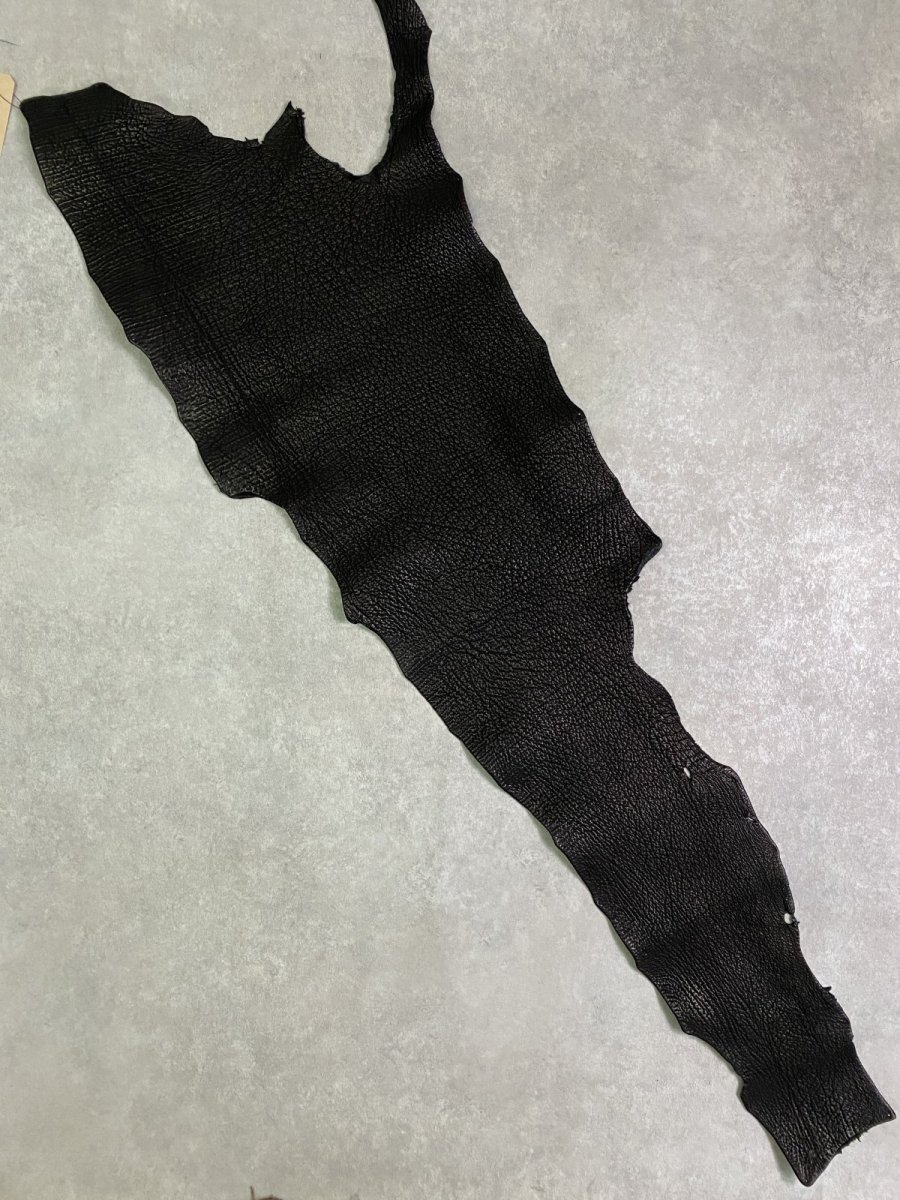 画像1: シャーク　ブラック　Aランク　鮫革　シャークスキン (1)