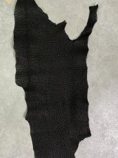 画像5: シャーク　ブラック　Aランク　鮫革　シャークスキン (5)