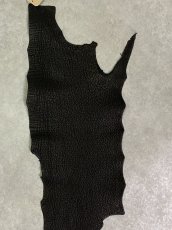 画像5: シャーク　ブラック　Aランク　鮫革　シャークスキン (5)
