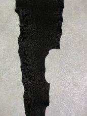 画像6: シャーク　ブラック　Aランク　鮫革　シャークスキン (6)