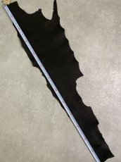 画像7: シャーク　ブラック　Aランク　鮫革　シャークスキン (7)