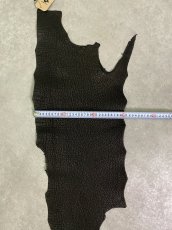 画像8: シャーク　ブラック　Aランク　鮫革　シャークスキン (8)