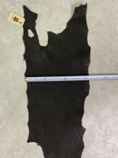 画像7: シャーク　ブラック　Aランク　鮫革　シャークスキン (7)