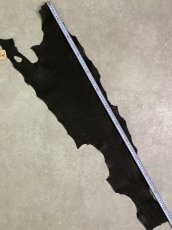 画像8: シャーク　ブラック　Aランク　鮫革　シャークスキン (8)