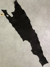画像1: シャーク　ブラック　Aランク　鮫革　シャークスキン (1)
