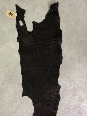 画像5: シャーク　ブラック　Aランク　鮫革　シャークスキン (5)