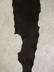 画像6: シャーク　ブラック　Aランク　鮫革　シャークスキン (6)