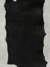 画像4: シャーク　ブラック　Aランク　鮫革　シャークスキン (4)
