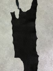 画像5: シャーク　ブラック　Aランク　鮫革　シャークスキン (5)