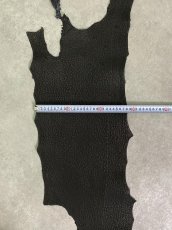 画像8: シャーク　ブラック　Aランク　鮫革　シャークスキン (8)