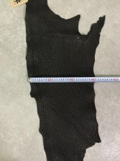 画像8: シャーク　ブラック　Aランク　鮫革　シャークスキン (8)