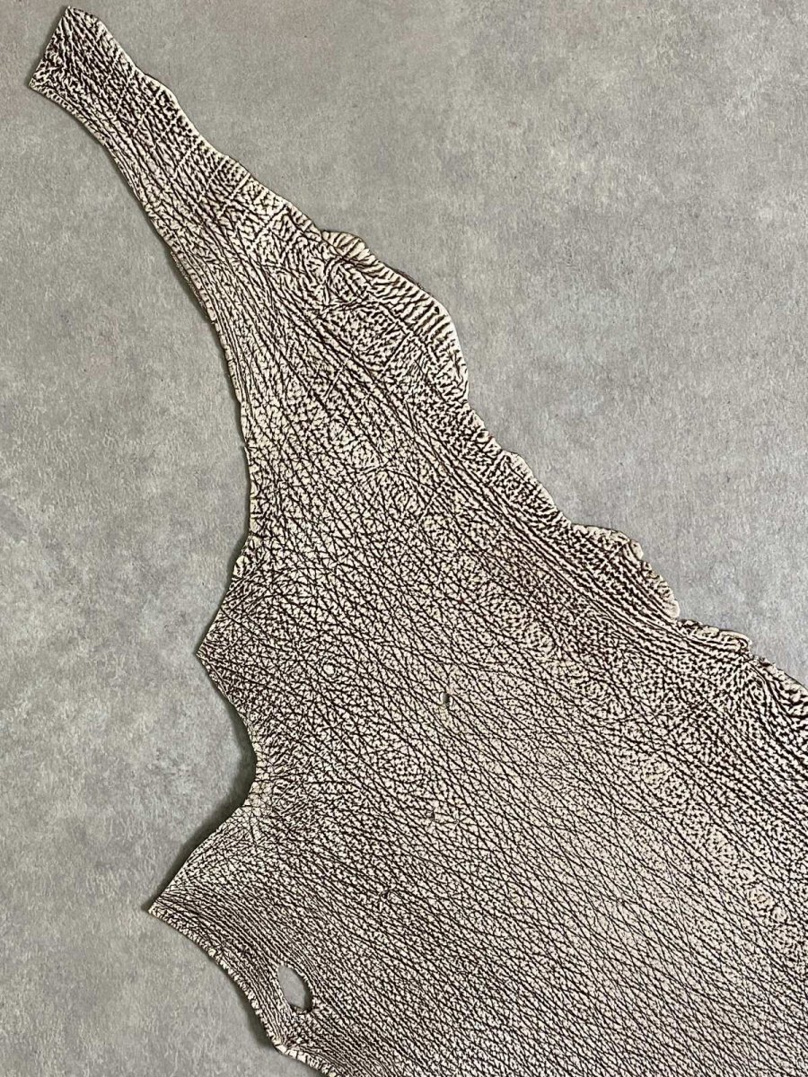 画像2: シャーク バニラ×茶 サメ革 鮫革 シャークスキン  (2)