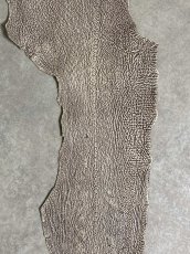 画像4: シャーク　バニラ×茶　サメ革　鮫革　シャークスキン　 (4)