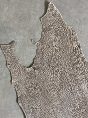 画像2: シャーク　バニラ×茶　サメ革　鮫革　シャークスキン　 (2)