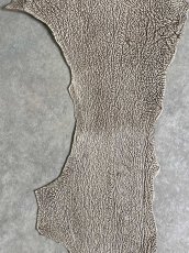 画像4: シャーク　バニラ×茶　サメ革　鮫革　シャークスキン　 (4)