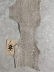 画像5: シャーク　バニラ×茶　サメ革　鮫革　シャークスキン　 (5)