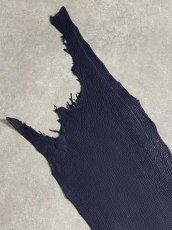 画像2: シャーク　マットネイビー　サメ革　鮫革　シャークスキン (2)