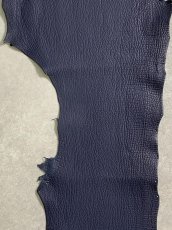 画像4: シャーク　マットネイビー　サメ革　鮫革　シャークスキン (4)