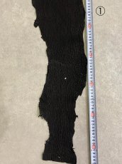 画像5: 【sale￥3500均一】シャーク　ブラック　サメ革　鮫革　シャークスキン (5)