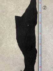画像7: 【sale￥3500均一】シャーク　ブラック　サメ革　鮫革　シャークスキン (7)