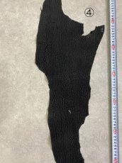 画像13: 【sale￥3500均一】シャーク　ブラック　サメ革　鮫革　シャークスキン (13)