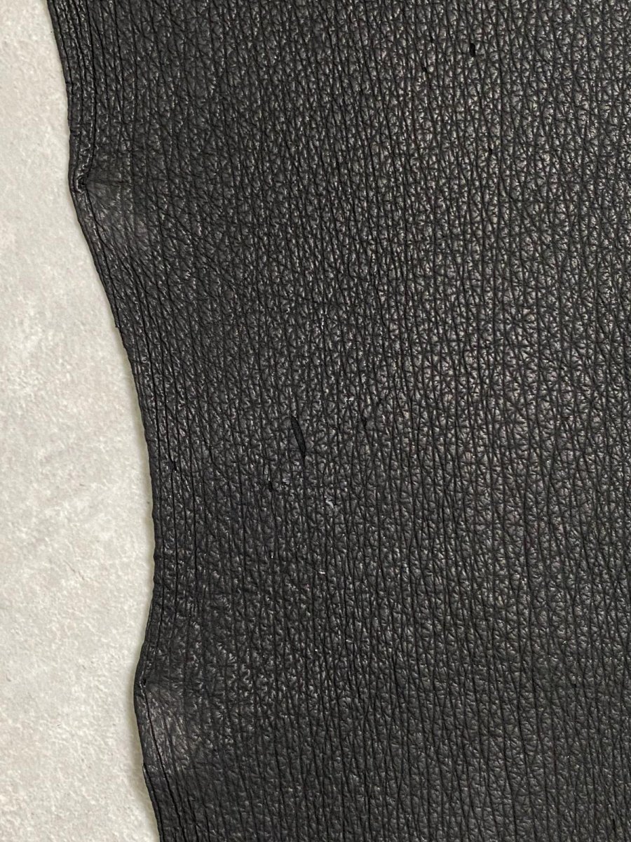 画像7: シャーク ブラック 鮫革 シャークスキン (7)