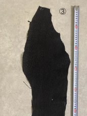 画像11: 【sale￥3500均一】シャーク　ブラック　サメ革　鮫革　シャークスキン (11)