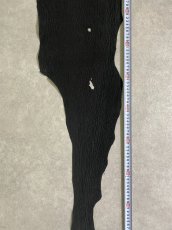 画像4: シャーク　ヌバック　ブラック　サメ革　鮫革　シャークスキン (4)