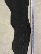 画像6: シャーク　ヌバック　ブラック　サメ革　鮫革　シャークスキン (6)
