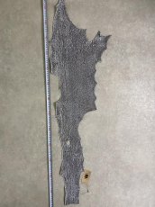 画像7: シャーク　白×黒　サメ革　鮫革　シャークスキン　 (7)