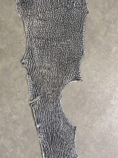 画像5: シャーク　白×黒　サメ革　鮫革　シャークスキン　 (5)