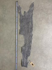 画像7: シャーク　白×黒　サメ革　鮫革　シャークスキン　 (7)