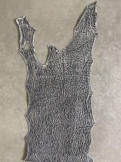 画像4: シャーク　白×黒　サメ革　鮫革　シャークスキン　 (4)