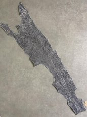 画像1: シャーク　白×黒　サメ革　鮫革　シャークスキン　 (1)