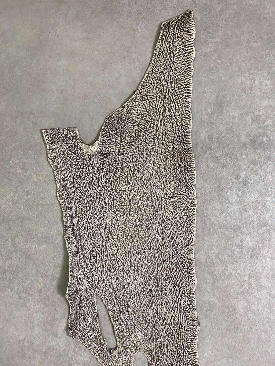 画像4: シャーク　バニラ×茶　サメ革　鮫革　シャークスキン　 (4)