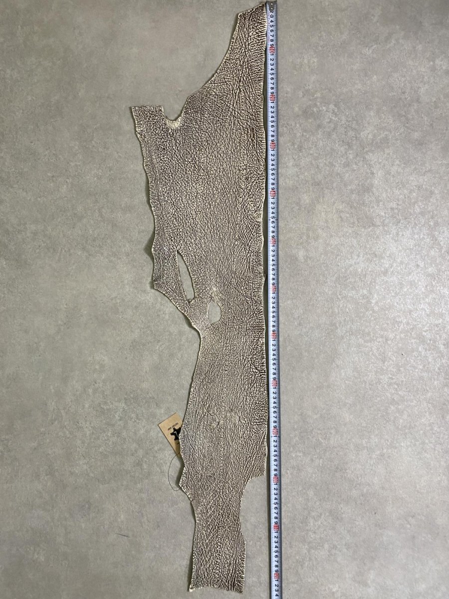 画像6: シャーク　バニラ×茶　サメ革　鮫革　シャークスキン　 (6)