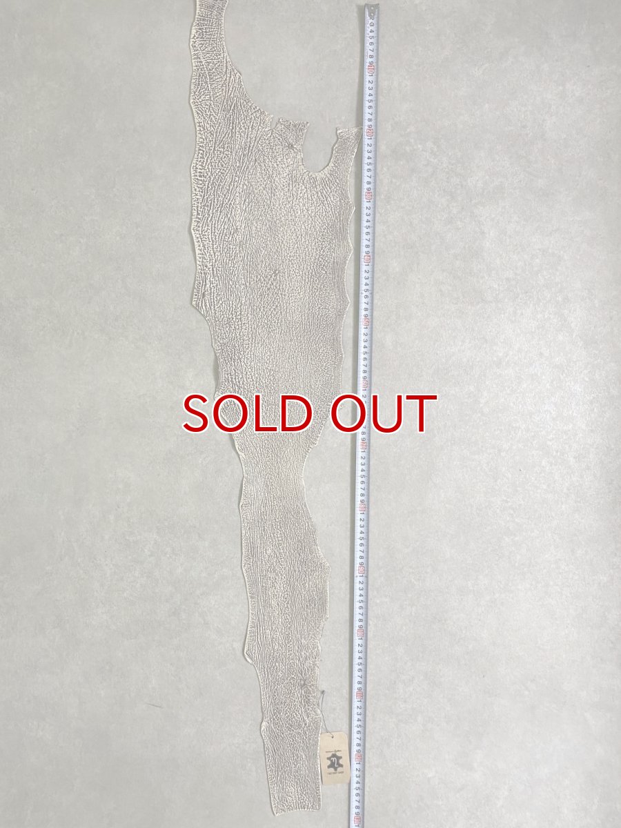 画像8: シャーク　バニラ×茶　サメ革　鮫革　シャークスキン　 (8)