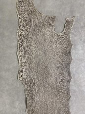 画像4: シャーク　バニラ×茶　サメ革　鮫革　シャークスキン　 (4)