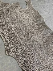 画像2: シャーク　バニラ×茶　サメ革　鮫革　シャークスキン　 (2)