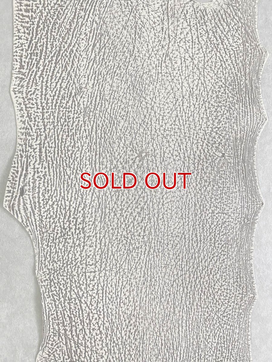 画像7: シャーク　バニラ×茶　サメ革　鮫革　シャークスキン　 (7)