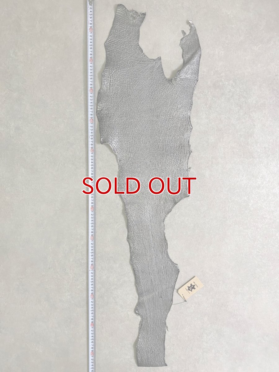 画像8: シャーク　エナメル　シルバー　 (8)