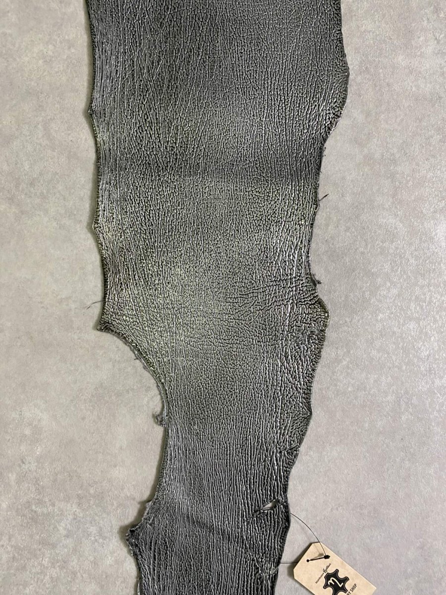 画像6: シャーク　エナメル　シルバー　 (6)