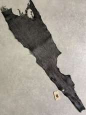 画像1: シャーク　サメ革　鮫革　シャークスキン　エナメル　ブラック (1)